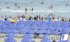 주말은 해운대로!