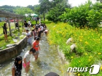 안동농촌체험휴양마을 여름휴가 최적지