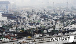 너구리 피해 미리 대피한 선박들