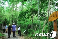 대전현충원, 대나무 숲길에 청백리 길 조성