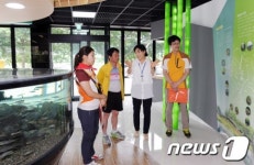 울산 중구 태화강과 십리대밭을 한눈에