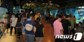 [단신]여름 휴가, 경북민물고기생태체험관으로 오세요