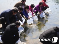 사천시, 붕어·잉어등  32만마리 방류