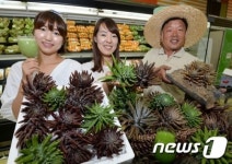 농협유통, 상주삼백와송 파격 할인전
