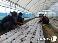 홍성군 장곡면 농부 인큐베이터 ‘협업농장’