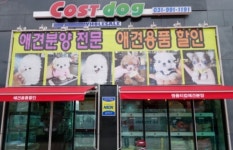 인천 강아지분양 코스트독이 사랑받는 이유는?