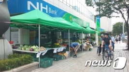울산농협본부, 직거래장터 수년간 불법 운영