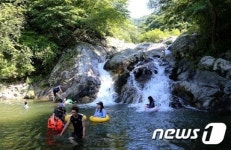 계곡에서 휴가를..