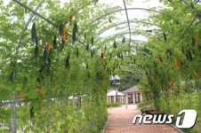 이천농업테마공원 관광명소 자리매김