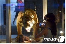 강원도DMZ박물관, 10월30일까지 개관5주년 기념 특별전