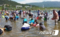 직접 잡은 다슬기 신기해요…철원 다슬기 축제 한창