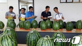진안 동향수박축제 2일 개막…3일까지 동향면서