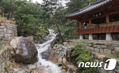 무더위 무릉계곡에서 날리세요!