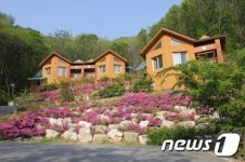 영동 민주지산자연휴양림 여름 피서지 각광