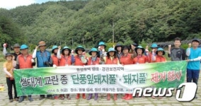 원주환경청·동강지킴이, 생태계 교란 외래식물 제거 작업