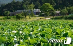 홍성군, 고암 이응노 생가기념관 야외화장실 신축키로