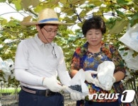 이환주 남원시장, 포도수확 체험 “최고 포도 만들자”