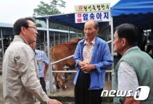 22일 횡성우(牛)시장서 한우경매시장 개최…낙찰률 100%