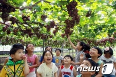 광주 무등산 수박 정보화마을 농촌체험 명소로