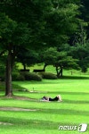 아직은 나무 그늘 밑이 좋아