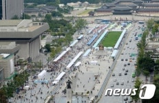 세종로 오늘은 보행전용거리