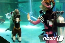 물 속에서 하는 승마 보셨나요?