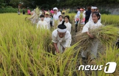 도심 속 가을걷이