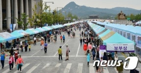 세종대로 차 없는 날