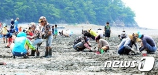 여수시, 10월 10~12일 여자만갯벌노을 축제 개최