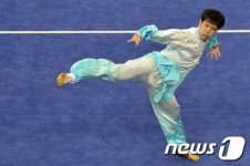 김동영 태극권 무술