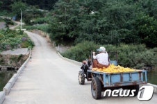 [르포] 정선 정연호 집배원, ‘동강의 낭만’을 따라 달린다