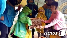 강원도 에덴양봉원에서 꿀벌체험…해피버스데이