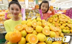 탐스러운 가을 귤