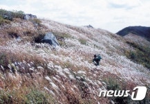새파란 가을 하늘 아래 울긋불긋 단풍의 향연