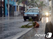 슈퍼태풍 봉퐁 오키나와 찍고 규슈로 日 비상…24명 부상