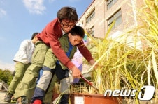 즐거운 벼베기 체험