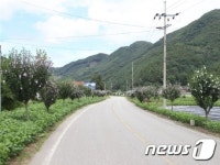 창녕장마로, 산림청 주관 최고 무궁화 가로수길