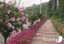 창녕장마로, 산림청 주관 최고 무궁화 가로수길