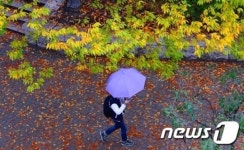 가을비 우산속으로