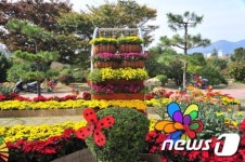 부산 남구, 24일~11월2일 평화공원에 16만본 국화 전시회