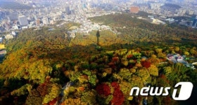 남산에 찾아 온 가을