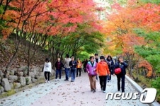 순창군 강천산 단풍 보러오세요…이번주말부터 절정