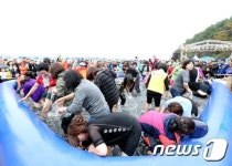 올해 첫 개최 서산 갯마을 먹물축제 성황