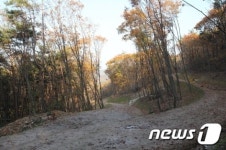 보은군, 속리산 말티재 일원 트레킹용 꼬부랑 길 조성