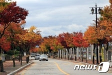 남원시, 26일까지 ‘낙엽... 낭만과 감성의 거리’ 운영