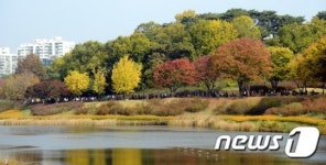 가을정취 만끽하며 걸어요