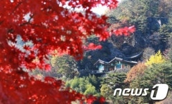 늦가을 속 고불사