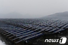 영월태양광발전소 하루 발전량 평균 4시간…주목