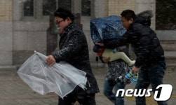 눈보라에 우산도 무용지물