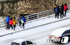 김해에 눈이 내린 뒤...